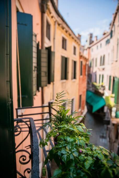 San Marco Apartamento *